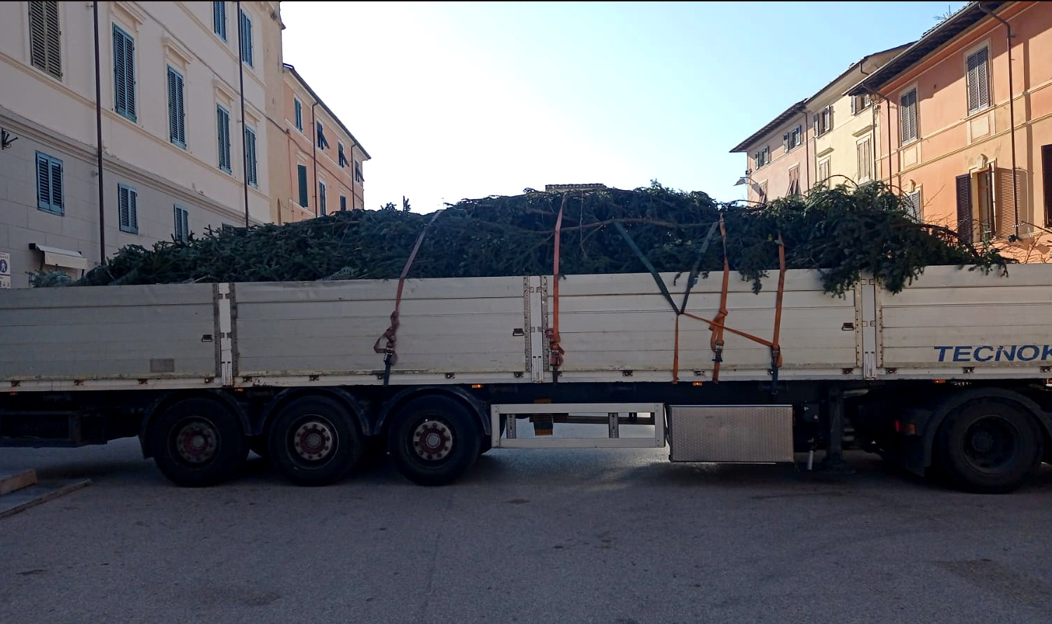 Un abete di 14 metri per piazza Duomo