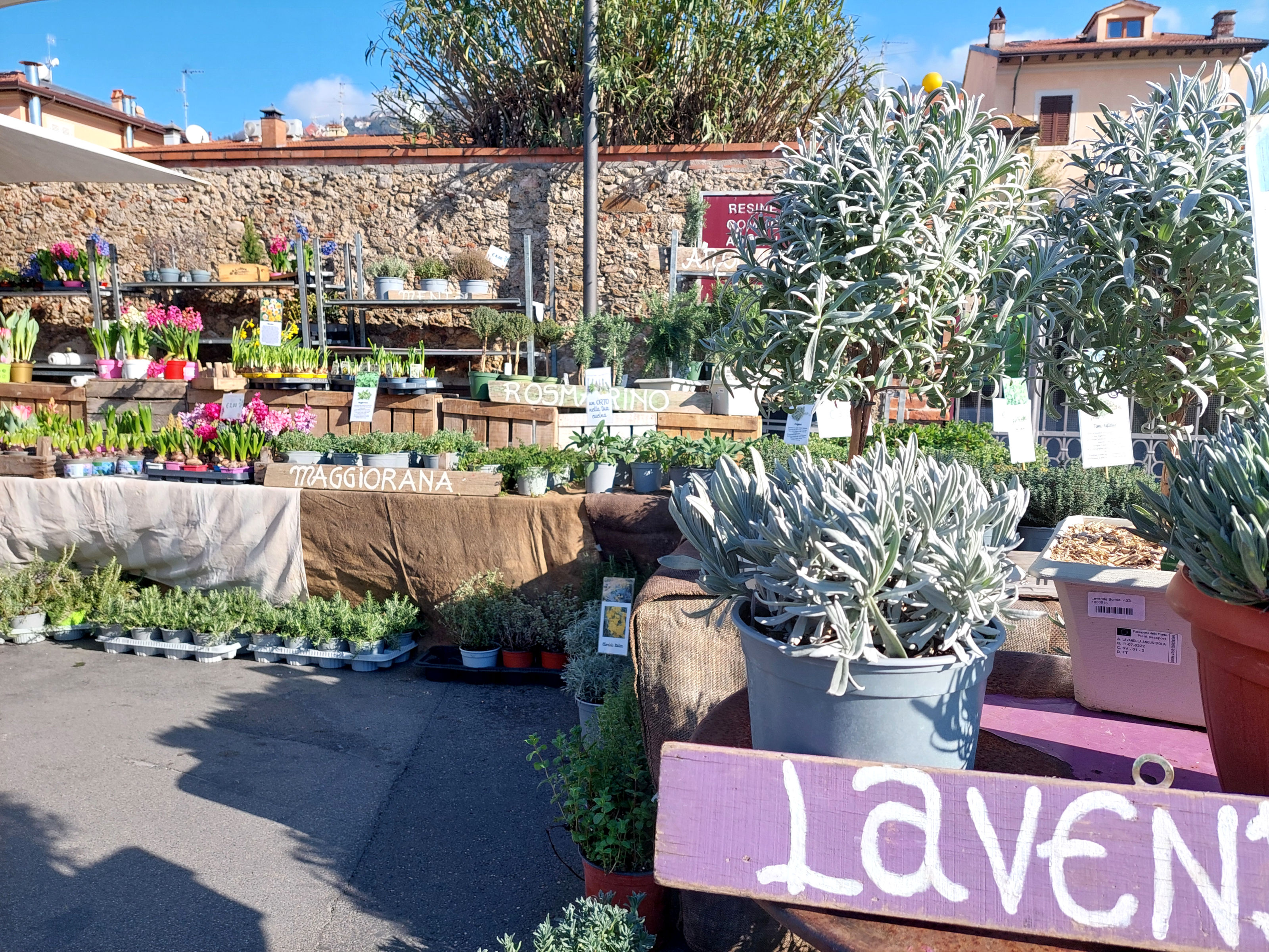 San Biagio, aperto il bando per la fiera agrozootecnica