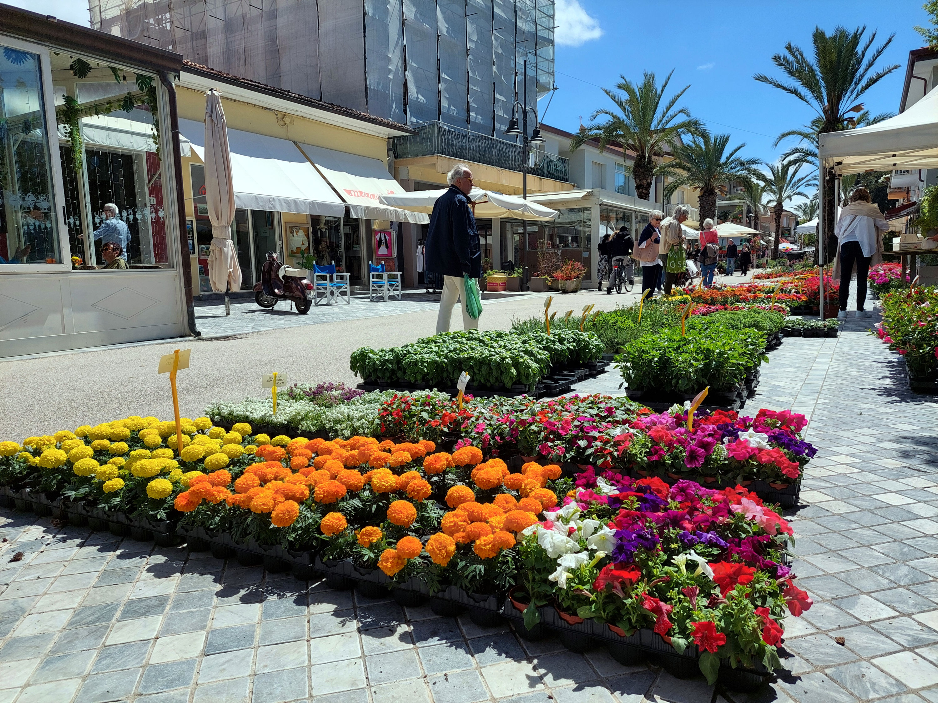 Marina in Fiore, domande entro il 15 aprile